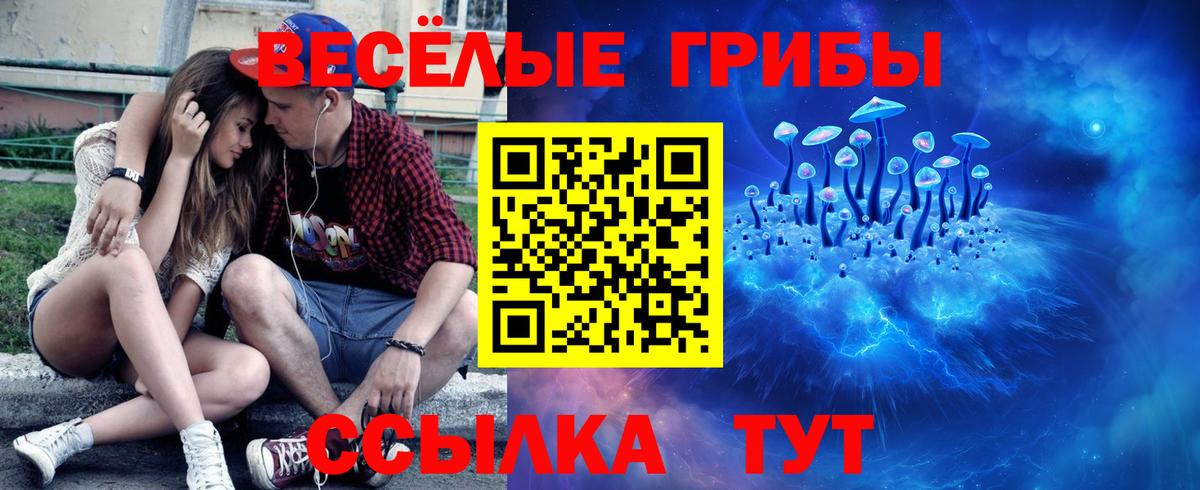 Малгобек  Псилоцибиновые грибы GOLDEN TEACHER  Вход с VPN 