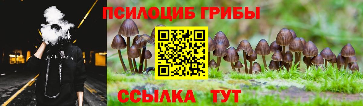 Галлюциногенные грибы Cubensis Малгобек